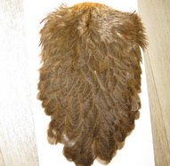 Brahma hen saddle march brown Whiting 